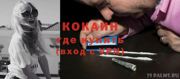 ГАЛЛЮЦИНОГЕННЫЕ ГРИБЫ Аркадак