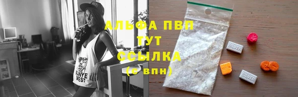 молекула духа Арсеньев
