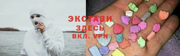 молекула духа Арсеньев