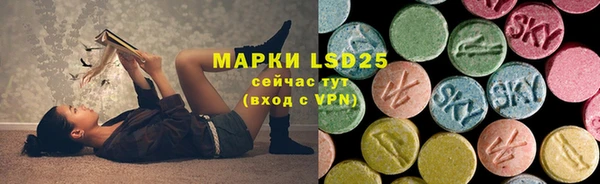 ГАЛЛЮЦИНОГЕННЫЕ ГРИБЫ Аркадак